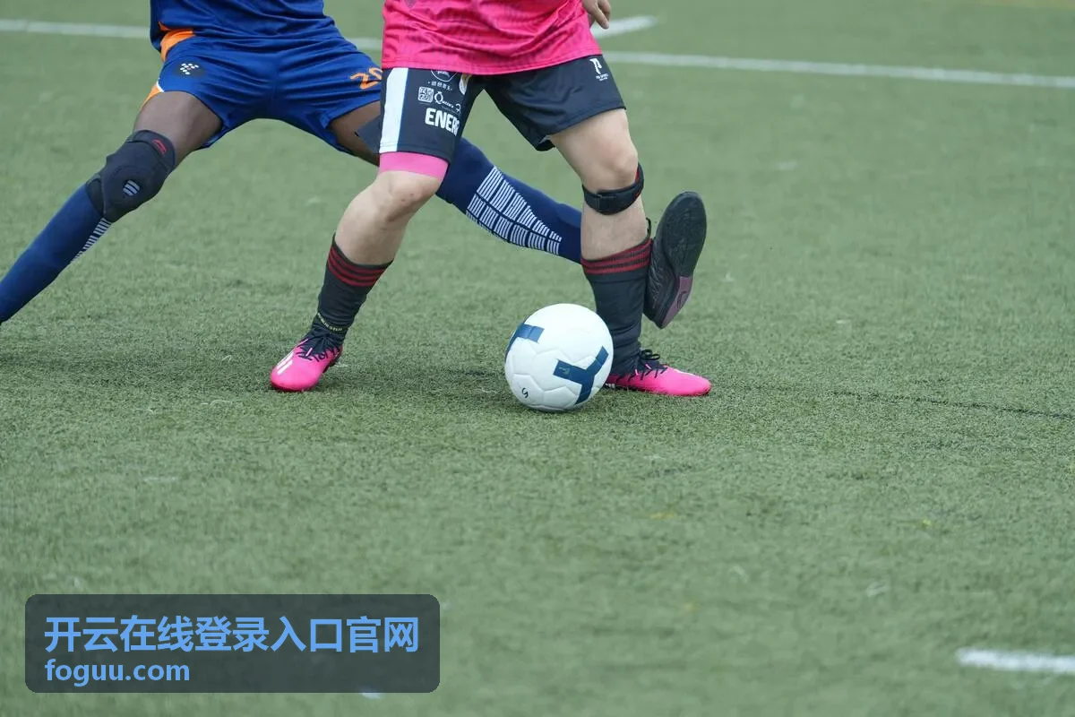开云在线登录入口官网账号与验证信息核对示意